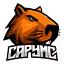 Ikona serwera capymc.pl