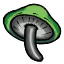 Ikona serwera craft.fungirealm.pl