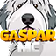 Ikona serwera gasparmc.tkmc.net