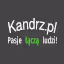 Ikona serwera mc.kandrz.pl