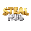 Ikona serwera stealhub.pl