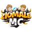 Ikona serwera ziomalemc.pl